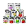 Presente criativo de planta em vaso mini em lata para crianças, mini planta verde de mesa, caixa surpresa com sementes de morango e girassol para plantar