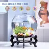 Aquário Pequeno, Tanque Transparente de Vidro Espessado para Tartaruga de Escritório, Tanque Mini Pequeno Redondo para Peixinhos Dourados de Mesa em Casa na Sala de Estar