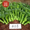 Brócoli No. 1 Semillas, Brócoli, Col rizada, Col rizada, Brócoli, Brócoli, Brócoli, Brócoli, Semillas de Verduras