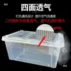 Caja para Mascotas Reptiles para Cangrejos Ermitaños, Geckos, Ranas Cornudas, Hámsteres, Grillos, Lagartijas, Tortugas; Caja para Terrario de Reptiles