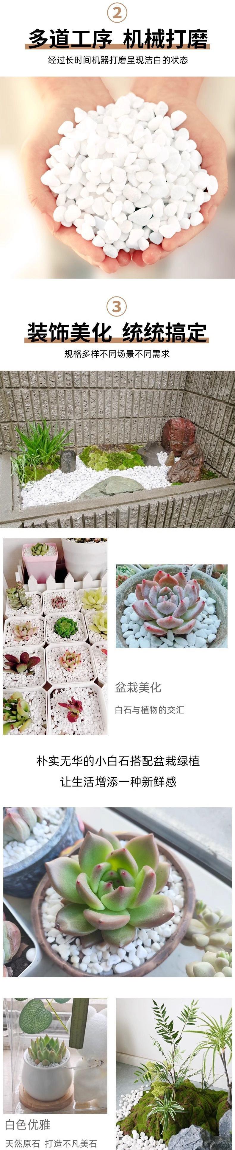 1ec4536d-bbb9-4b9a-970e-012e9c69b36e.jpe