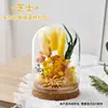 61º Día del Niño DIY Flor Eterna Tapa de Cristal Hecho a Mano Materiales de Flores Secas Kit Jardín de Infancia Construcción de Equipo Padre-Hijo Taller de Arreglos Florales