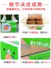 Cajas de Cartón para Frutas para Entrega Express, Cajas de Embalaje para Cítricos, Naranjas, Manzanas, Naranjas Navel, Duraznos, Cajas de Regalo de 5kg al por Mayor