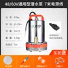 Bomba Sumergible CC 12V 24V 48V 60V Volt Bomba de Agua para Vehículos Eléctricos Bomba para Riego de Hortalizas Bomba de Riego Bomba de Agua