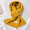 Bufanda de color liso para mujer, chal de cachemira de imitación gruesa de invierno 2022, estilo occidental, de alta gama, estilo coreano, cálida, combina con todo.