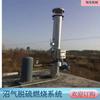 Antorcha de Biogás Maquinaria Xiangguang Quema de Emergencia de Biogás Granja de Basura Antorcha de Biogás Dispositivo de Encendido Automático