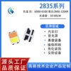 Venta al por mayor directa de fábrica aplicable 2835 doble-Copa dos colores LED cuentas de lámpara 2835 Blanco positivo blanco cálido dos colores 1W cuentas de lámpara