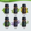 Hierba de limón naranja dulce árbol de té aceite esencial de aromaterapia cuadrado único eucalipto Menta Lavanda planta pura aceite esencial de aromaterapia cuadrado único