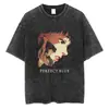 Camiseta Streetwear para Hombre Anime Japonés 2024 Camiseta Gráfica V