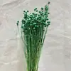 Flor seca de frijol Xiangsi fábrica de flores Yongsheng Yunnan ramo de flores secas de frijol rico decoración del hogar transfronterizo