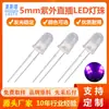 F5 Perlas de Lámpara Detección Antifalsificación Luz Morada 3mm Ultravioleta UV Trampa para Insectos y Mosquitos Perlas de Lámpara 5mm Curado Esterilización y Desinfección Perlas de Lámpara