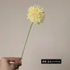 Atacado do Fabricante Plantas Verdes Artificiais Transfronteiriças Bulbos de Cebola de Haste Única Decoração Criativa para Casa Decoração Floral para Casamento Acessórios Florais Artificiais