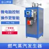 Generador de Vapor a Gas 0.5 Ton Calentamiento Procesamiento de Alimentos Uso Médico Caldera de Vapor Totalmente Automática Ultra Baja en Nitrógeno