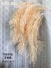 Auditório de casamento teto simulação flor atacado casamento plástico flor material decoração de casamento falsa flor Net vermelho teto flor