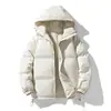 Casaco de algodão acolchoado para casal, masculino, inverno, solto, casual, com capuz, para todos os tipos de combinações, casaco de algodão acolchoado quente e espesso para homens