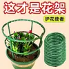 Suporte de flores interno para uso doméstico, suporte universal para orquídeas garra de caranguejo, suporte de folha de lótus, haste de suporte para plantas em vasos de jardinagem
