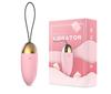 Vibrador controle remoto gladiador Laile conversão de frequência vibrador de uso vibrador masturbação feminina brinquedos sexuais adultos atacado