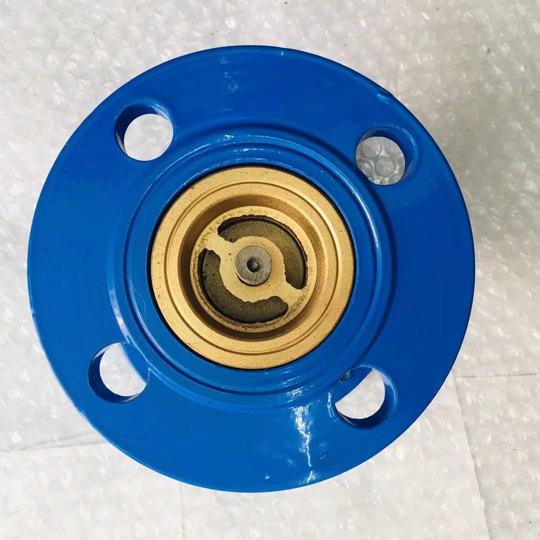 蓝色消声止回阀 (3)