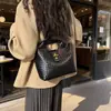 2026 Bolsa de Ombro Único Moda Transfronteiriça Bolsa de Palha Cor Sólida Texturizada Bolsa Feminina Casual para o Dia a Dia Bolsa Transversal