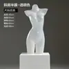 Soporte de Exhibición para Maniquí de Ropa Interior Maniquí de Medio Cuerpo Masculino Femenino Soporte para Maniquí de Sujetador Push Up Calzones Maniquí Accesorios para Fotografía Modelo de Pecho