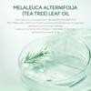 Gel antiacné de árbol de té FENYI Gel de árbol de té FENYI 20 g Productos para el cuidado de la piel con camarones