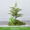 Simulación Planta Verde Paisajismo Planta Paisaje Combinación Adornos Exterior Maceta Alta Gama Lujo Ligero Flor Artificial Interior Piso Maceta
