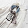 Estilo chique feminino novo boxer pequeno cachecol estilo coreano cachecol longo dupla face primavera e outono versátil estreito decorativo faixa de cabelo