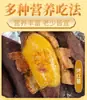 Camote Durian, Camote Fresco, Camote de Tierra Arenosa, Camote Amarillo, Camote Rico en Aceite, Recién Desenterrado