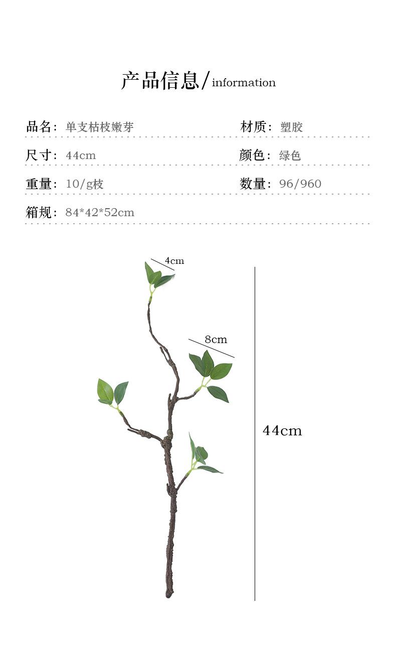 单支枯枝嫩芽_03.jpg