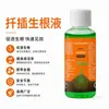 Solución enraizante para esquejes de rosa e hibisco para trasplante y plantación, fertilizante líquido nutritivo enraizante rápido y potente, solución enraizante para esquejes