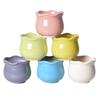 Vaso de Cerâmica Flor Fresca Macaron Casa Cor Sob Esmalte Vaso para Plantio Combinado de Suculentas Vaso de Cerâmica com Planta Verde Simulada