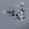 Folhas de Maçã, Folhas de Dinheiro, Folhas de Eucalipto, Galhos Curtos, Arranjos de Flores, Decorações de Casamento, Flores Artificiais, Folhas de Eucalipto