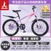 Bicicleta Infantil Phoenix para Niñas de 6-12-15 Años, Adolescentes, Niños Mayores, Bicicleta de Montaña con Cambios para Estudiantes
