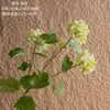 Hortênsia Nuvem Cor de Leite Flores Artificiais Atravessando Fronteiras Fabricante de Flores Artificiais Flores Falsas Plantas Verdes Atacado Decoração de Casamento Artesanato Ins