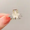 Mini Pinza para el Cabello con Forma de Corazón, Elegante Pasador de Princesa, Pinza de Media Presión Exquisita de Gama Alta, Pinza para Flequillo, Accesorio para el Cabello para Mujer
