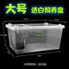 Caja de Alimentación y Escalada para Mascotas Reptiles Tanque de Acrílico Alto Transparente Gabinete Integrado Caja de Alimentación para Rana Cornuda Arbórea Tortuga Lagarto