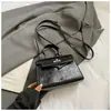 Bolsa de Nicho Moda Coreana Feminina 2025 Nova Bolsa de Ombro Transversal Estilo Coreano Ins Bolsa Carteiro Bolsa Kelly