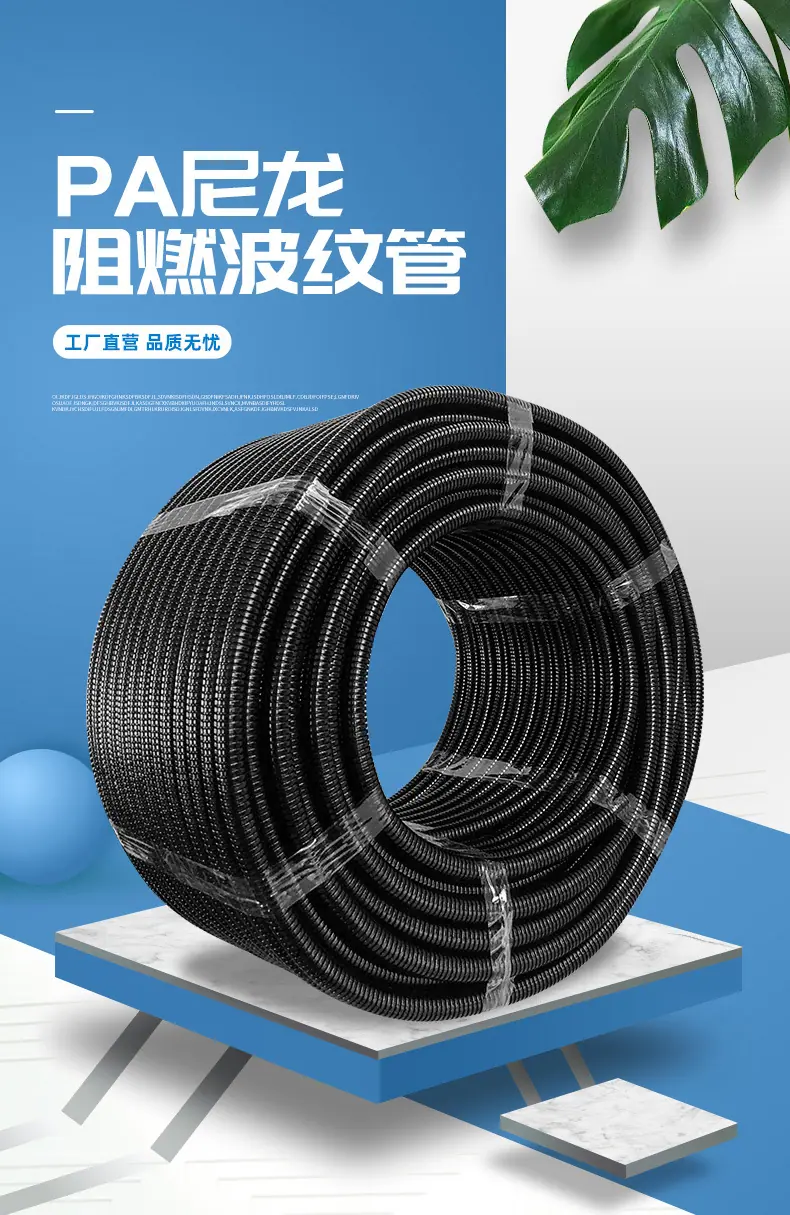 新的_01.jpg
