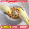 Tigela especial de pedra vulcânica para papagaios, moedor de garras pequeno para conures sol, porta-incenso repelente de mosquitos, tigela de pedra para afiar dentes, bebedouro, especial para atacado