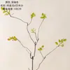 Estilo Wabi-Sabi Hojas de Arce de Otoño Ramas de Espuma Fabricante Flores Artificiales Plantas Verdes Venta al por Mayor Decoración de Bodas Manualidades Flores Artificiales
