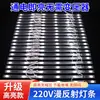 Barra de luz de reflexão difusa LED tecido de publicidade tecido filme macio caixa de luz barra de luz fonte de luz de persiana à prova d'água para exterior 220V