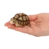 Modelo de mini animal de simulación serpiente tortuga cocodrilo rana de árbol camaleón decoración de paisaje de mesa de arena juguetes cognitivos para niños