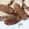 Virutas de Madera Cáscara de Nuez Material Planta Taibao Especimen Piña de Pino Paquete de Materiales de Flores Secas DIY Chen Mai Hecho a Mano Bellota Seca Marco de Fotos