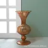 Florero de Vid Transparente Florero de Bambú Nutritivo para Agua Lirio Decoración Sala de Estar Arreglo de Flores Flor Seca Nórdico Hogar Tamaño Grande