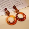 Pendientes Geométricos de Resina de Aguja de Plata Populares Transfronterizos Pendientes de Diseño Exagerado de Nicho Pendientes Retro de Alta Gama Venta al por Mayor