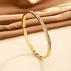 Pulsera de titanio y acero con gypsophila transfronteriza, pulsera de fila única con diamantes para mujeres europeas y americanas, pulsera de acero inoxidable con baño de 18 quilates, a la moda, simple