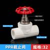 Válvula de retención ppr interruptor de tubería de agua accesorios de tubería de agua ppr válvula principal elevadora racores de tubería PPR válvula de retención gris