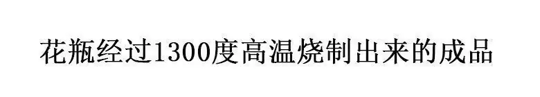 e63bd80d-1999-4127-be15-0f3a8100f3b0.jpe