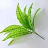 Plantas Artificiales, Macetas Verdes, Jardineras, Hojas Falsas Decorativas, Ramilletes Pequeños de 9 Ramas, Muros Verdes, Flores Falsas, Materiales de Jardinería