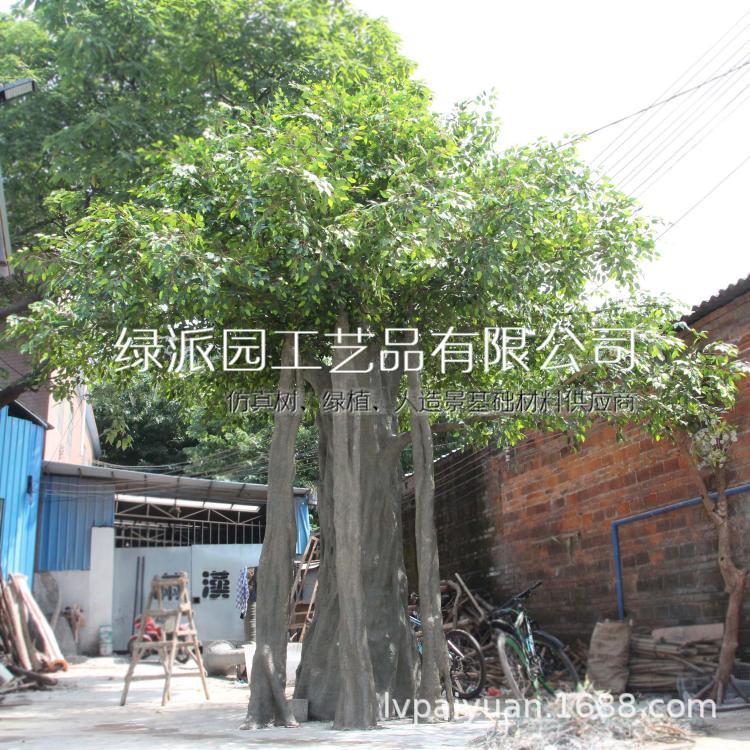 榕树060.jpg